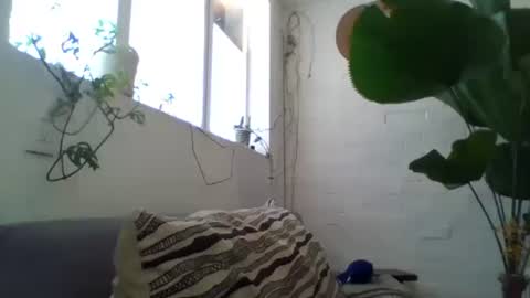 _tutti_frutti_ online show from 02-05-25, 09:18