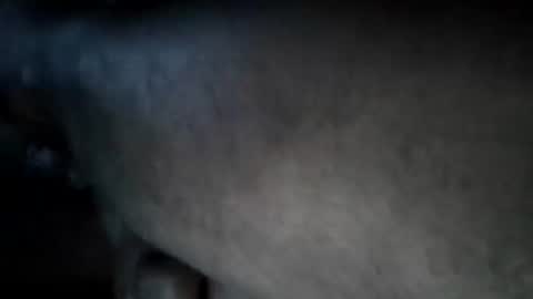 A2Please online show from 09-15-25, 02:06