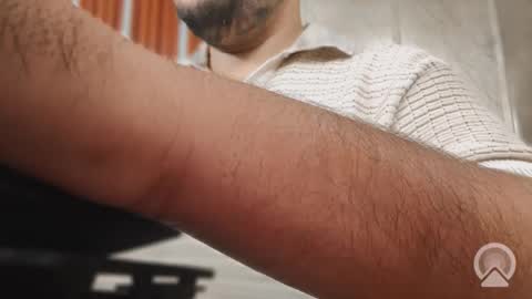 Sleepy owl online show from 10-11-25, 08:24