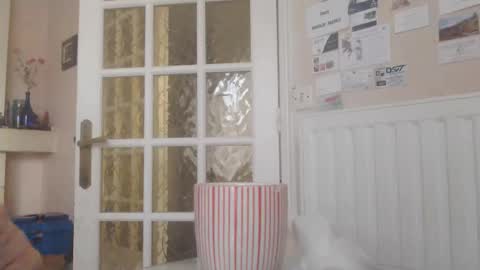 Snapshot of aalex1717 chatting on 01-14-26, 08:53 Aalex1717 online show from 01-14-26, 08:53