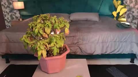 Snapshot of aaron_eze chatting on 01-31-26, 08:51 Aaron Ezequiel online show from 01-31-26, 08:51