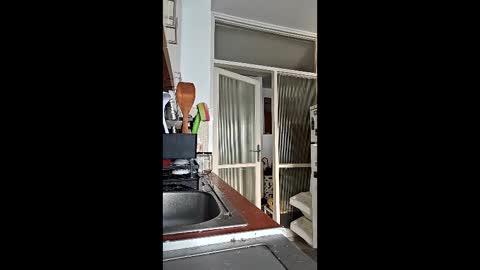 abbel_stone online show from 03-15-26, 03:51