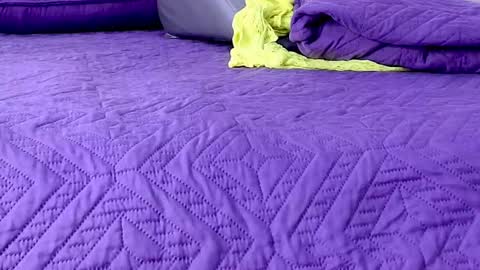 Abigail online show from 01-08-26, 02:58