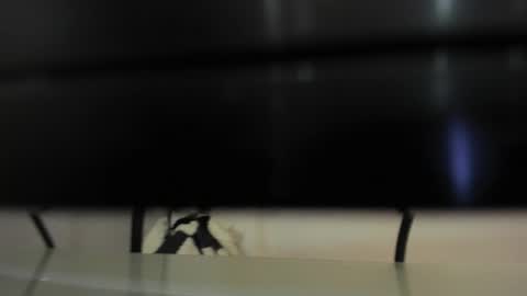 Snapshot of abril_777 chatting on 02-22-26, 07:56 Abril 777 online show from 02-22-26, 07:56