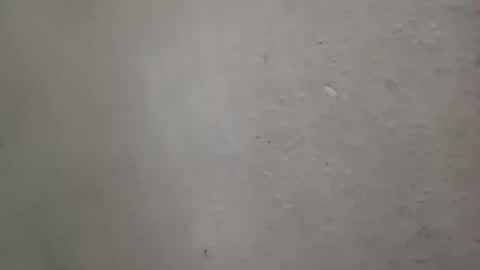 Snapshot of absltorres8 chatting on 07-14-26, 07:57 absltorres8 online show from 07-14-26, 07:57
