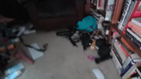 aCACiAs2022 online show from 03-01-26, 01:24