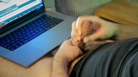 ACHTINCH online show from 01-15-26, 07:24