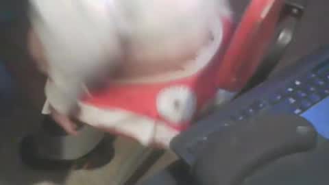 Snapshot of adamsny chatting on 01-20-25, 07:04 adamsny online show from 01-20-25, 07:04