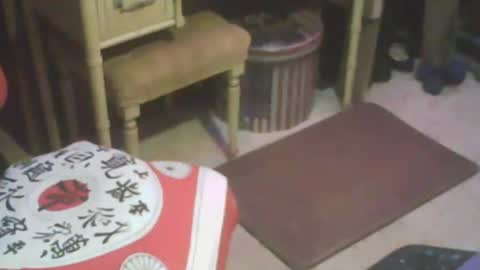 Snapshot of adamsny chatting on 02-13-25, 08:17 adamsny online show from 02-13-25, 08:17