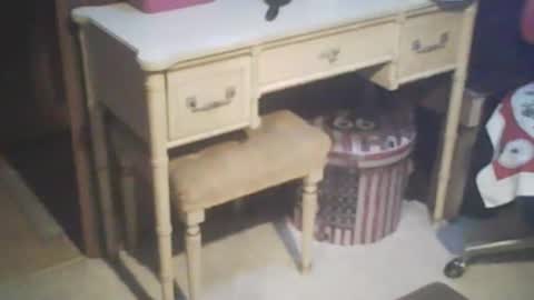 Snapshot of adamsny chatting on 02-21-25, 07:56 adamsny online show from 02-21-25, 07:56