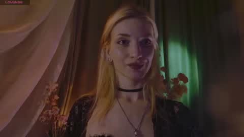 Snapshot of adelaidegilber_ chatting on 07-12-26, 09:50 Adel online show from 07-12-26, 09:50
