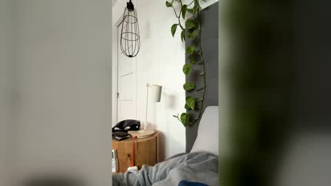 Snapshot of advbike chatting on 03-13-26, 09:21 advbike online show from 03-13-26, 09:21