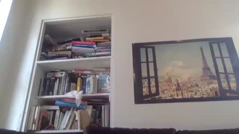 Snapshot of aestheticform chatting on 04-13-26, 08:47 aesthetic form online show from 04-13-26, 08:47