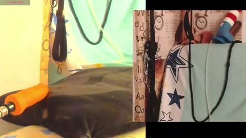 Snapshot of afroditacute16 chatting on 02-27-26, 01:55 afroditacute16 online show from 02-27-26, 01:55