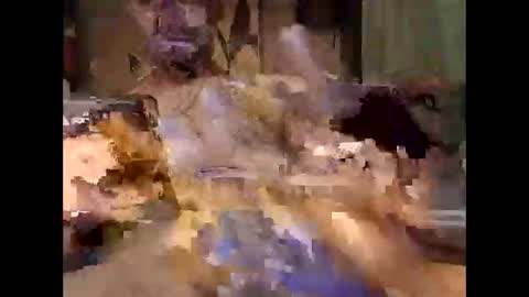 aftermathr3 online show from 05-27-26, 05:37
