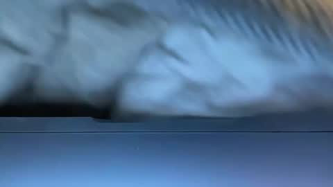 Agent Action Jackson online show from 01-08-25, 04:34