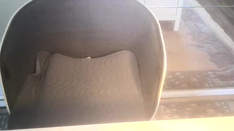 Snapshot of ahmole chatting on 01-10-25, 09:34 Ole online show from 01-10-25, 09:34