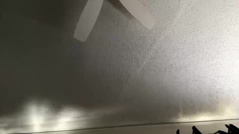 Dinky online show from 01-07-26, 05:26