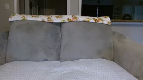 Alanna Rack online show from 02-26-25, 02:14