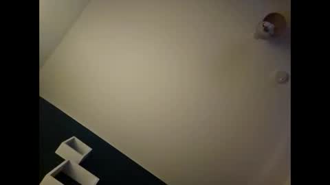 alannovak8 online show from 11-20-25, 12:00