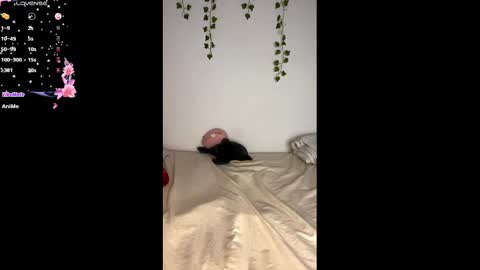 Snapshot of alaska_drew chatting on 02-25-25, 11:08 Alaska online show from 02-25-25, 11:08