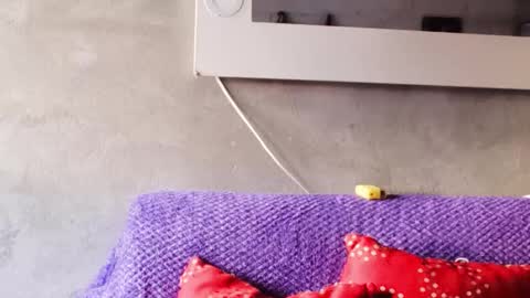 alasska_18 online show from 10-25-25, 10:04