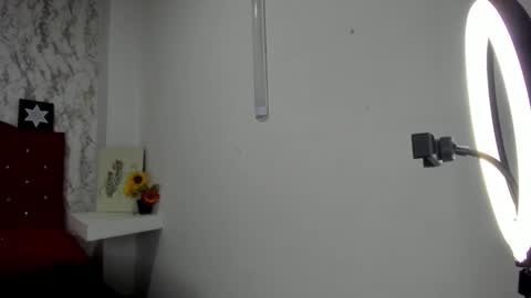 Snapshot of alejandra_james chatting on 05-04-26, 11:28 ALEJANDRA JAMES online show from 05-04-26, 11:28