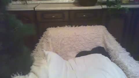 Luly online show from 01-05-25, 03:00