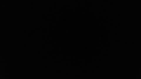 Alex online show from 02-26-26, 01:04