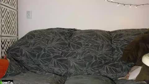 FAVORITE online show from 12-17-25, 03:29