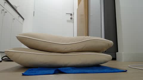 Snapshot of alex_nicha chatting on 09-21-25, 04:47 Nicha online show from 09-21-25, 04:47