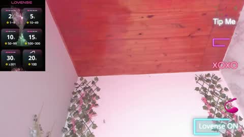 Dani online show from 01-24-25, 07:08