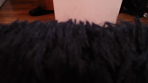 Snapshot of alexamoon__ chatting on 12-07-24, 03:58 Alexa Moon online show from 12-07-24, 03:58