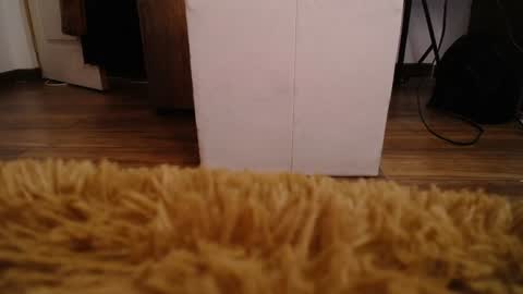 Snapshot of alexamoon__ chatting on 12-10-24, 05:44 Alexa Moon online show from 12-10-24, 05:44