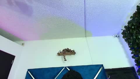 Snapshot of alexarousse4u chatting on 02-24-26, 01:47 Alexa online show from 02-24-26, 01:47