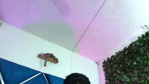 Alexa online show from 04-09-26, 02:22