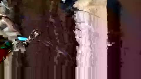 Snapshot of alexey932 chatting on 11-10-25, 10:03 alexey932 online show from 11-10-25, 10:03