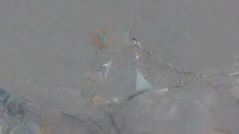 Alexsmith9876 online show from 04-02-26, 02:15