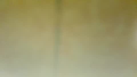 Alfonso Gomez online show from 01-22-25, 05:28