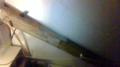 Snapshot of alfred152 chatting on 06-18-26, 04:02 alfred152 online show from 06-18-26, 04:02