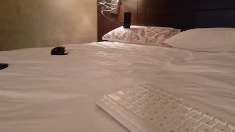 Snapshot of aliasalien008 chatting on 02-15-26, 11:01 Daddy Girls online show from 02-15-26, 11:01