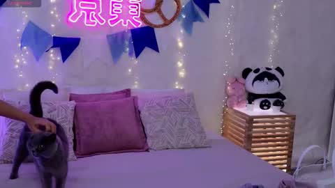 Alice in Wonderland  online show from 09-29-25, 05:23