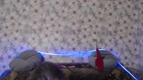 Snapshot of alice_longstocking chatting on 12-22-25, 10:51 alice longstocking online show from 12-22-25, 10:51