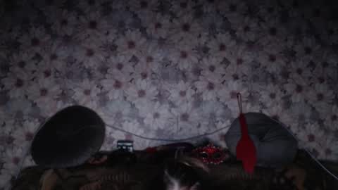 Snapshot of alice_longstocking chatting on 02-07-26, 03:38 alice longstocking online show from 02-07-26, 03:38