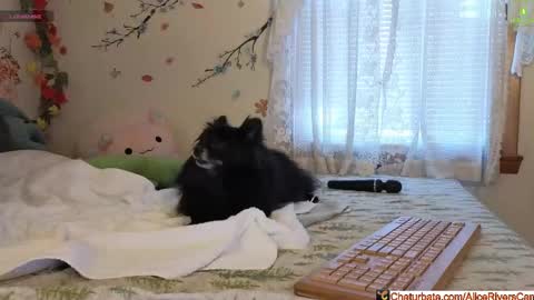 Alice Rivers ---- Enter my public Discord-  online show from 02-05-26, 09:30