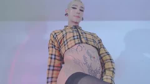     online show from 02-11-26, 08:58