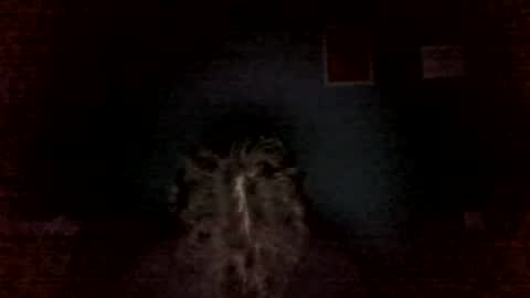 Snapshot of aliprcalica1 chatting on 06-09-26, 11:05 Chris online show from 06-09-26, 11:05