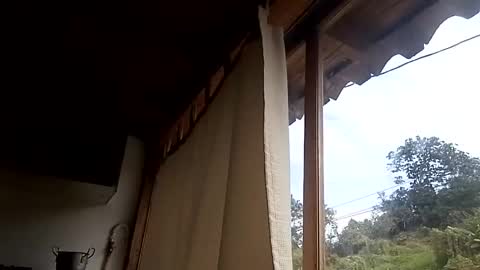 Alisson369  online show from 02-13-25, 03:03