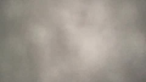 all_most_sane online show from 08-07-26, 07:49
