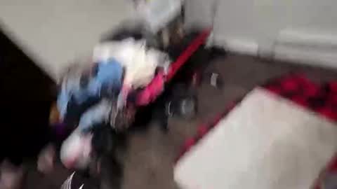 alldickandass11 online show from 02-10-26, 11:31